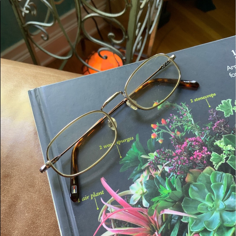Retro Tommy Hilfiger Glasses